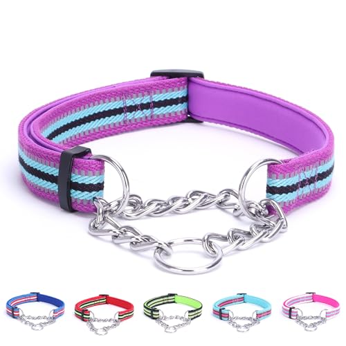 Alainzeo Reflektierendes Martingale-Hundehalsband, verstellbares, weiches Neopren, gepolstertes, atmungsaktives Nylon-Haustierhalsband für Welpen, mittelgroße und große Hunde, Lila, L von Alainzeo