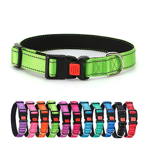 Reflektierendes Hundehalsband, weiches Neopren gepolstertes, atmungsaktives Nylon-Haustierhalsband mit Schnellverschluss-Schnalle für Welpen, mittelgroße und große Hunde (Grün L) von Alainzeo