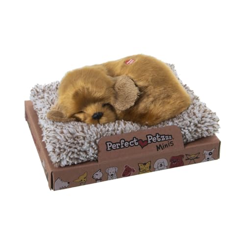 Alexandra House Living Plüschtier mit Sound Mehrfarbig Hund 16 x 2 x 14 cm Mini von Alexandra House Living