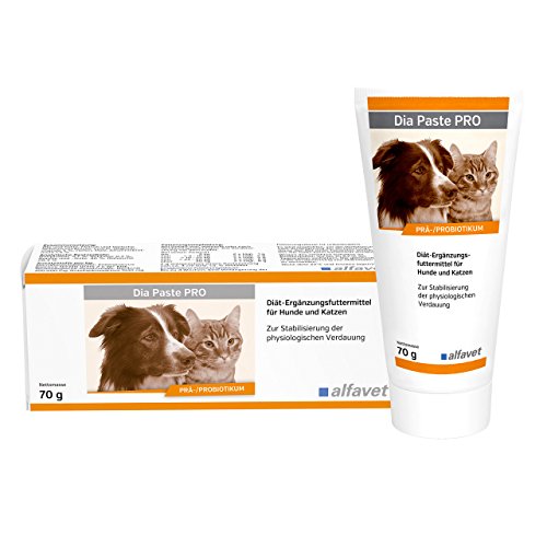 Alfavet Dia Paste PRO, Diät-Ergänzungsfuttermittel bei Durchfall, für Hunde und Katzen, Präbiotikum Probiotikum, 70g Tube von Alfavet