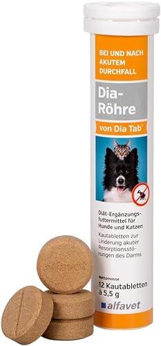 Alfavet Dia-Röhre von Dia Tab | 12 x 5,5 g | Ergänzungsfuttermittel für Hunde und Katzen bei Durchfall | Kann dabei helfen Durchfall zu reduzieren | Ideal für Unterwegs von Alfavet
