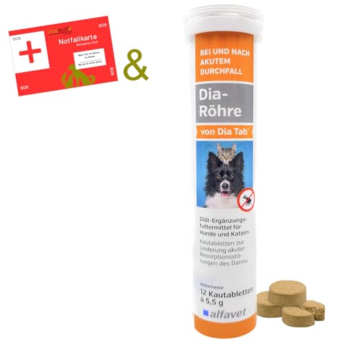 Alfavet Dia Tab Röhre 12x5,5g Hund Katze bei & nach Durchfall von Alfavet