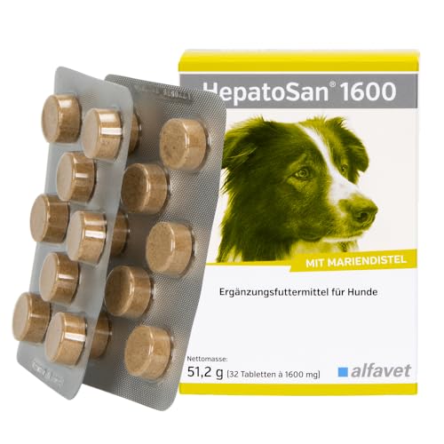 Alfavet HepatoSan 1600 | 32 Tabletten | Ergänzungsfuttermittel für Hund | Zur Unterstützung der Leberfunktion bei chronischer Leberinsuffizienz | Mit Curcuma von Alfavet