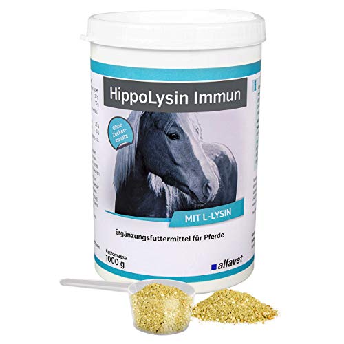 Alfavet HippoLysin Immun mit L-Lysin, Herpes Immunaufbau, probiotisch, dopingfrei, Ergänzungsfuttermittel für Pferde und Ponys, 1000g von Alfavet