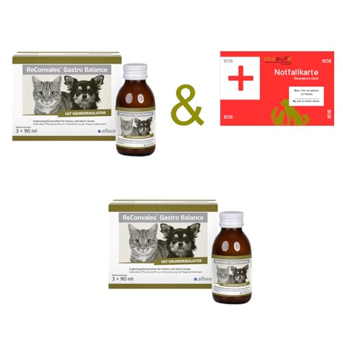 Alfavet ReConvales Gastro Balance 2X 3x90ml für Hunde & Katzen zur Unterstützung der Magenschleimhaut von Alfavet