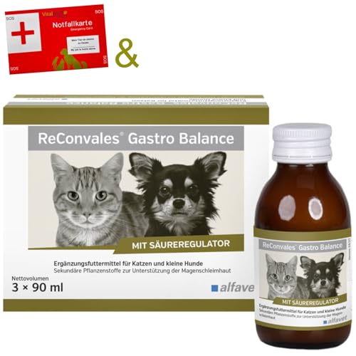 Alfavet ReConvales Gastro Balance 3x90ml für Hunde & Katzen zur Unterstützung der Magenschleimhaut von Alfavet