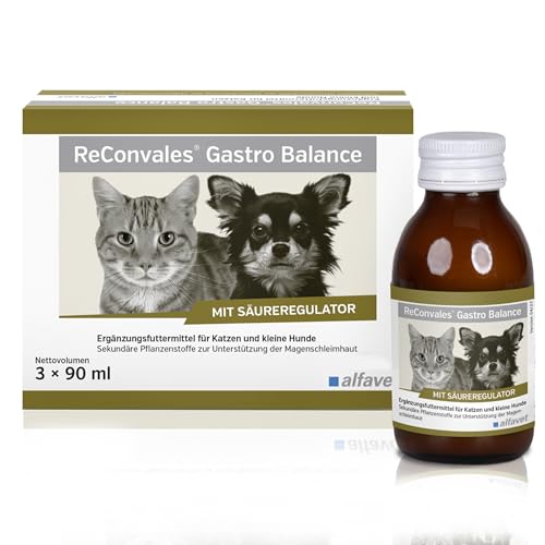 alfavet, ReConvales Gastro Balance für Katze und Hund, zur Pflege der Magenschleimhaut mit Säureregulator, Ergänzungsfuttermittel, 3 x 90 ml von Alfavet