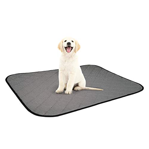 Alfie Pet Quay Trainingspad für Hunde, waschbar, Größe S von Alfie