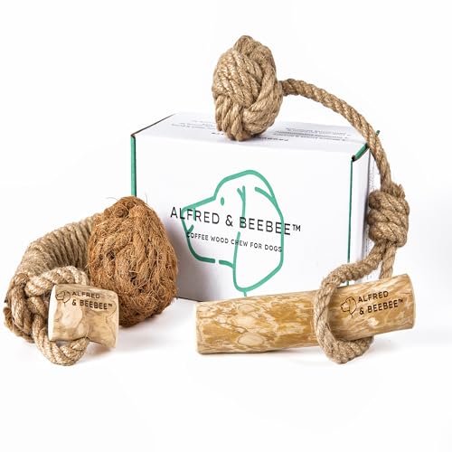 Alfred & Beebee Umweltfreundliches Hundespielzeug-Set aus Holz – 4 nachhaltige Spielzeuge für stundenlanges Spielen von Alfred & Beebee