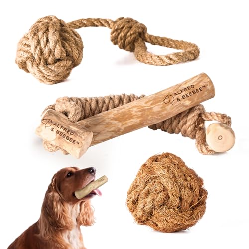 Alfred & Beebee Umweltfreundliches Hundespielzeug-Set aus Holz – 4 nachhaltige Spielzeuge für stundenlanges Spielen von Alfred & Beebee