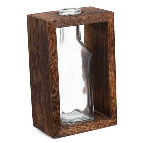 Alipis 1 Set Pflanze Terrarium Vase Pflanzen Schreibtisch Glas Anzuchtvase Transparente Vase Hydrokultur Pflanzenbehälter Einzigartige Bürodekoration Glaspflanzer Glasflasche Holz von Alipis