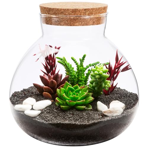 Alipis Runde Glas-Terrarium-Behälter, Korkflasche, Sukkulenten, Moosflasche, leere Pflanzgefäße, Knospenvasen, kleine Kugel, DIY-Kanister von Alipis