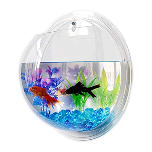 Alipis Spielzeug H?ngende Wandmontage Fischtank Fisch Bubble Fisch Schüssel Acryl- Vase- Blütenpflanzentopf für Hausgartenbüro 17Cm Fischglas Aquarium Aquarium Aufhängen Einmachgläser von Alipis