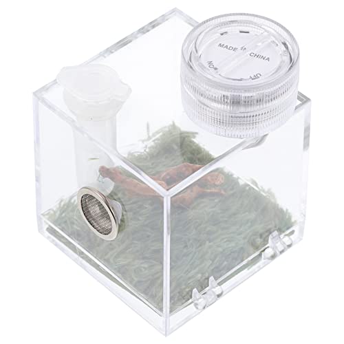 Alipis Kasten Springspinnen-zuchtbox Terrarium Für Reptilien Spinnenlandschaftskäfig Lebensraumkäfig Für Schnecken Mini-tierwächter Sprungspinnengehege Koffer Kleine Spinne Acryl Aquarium von Alipis