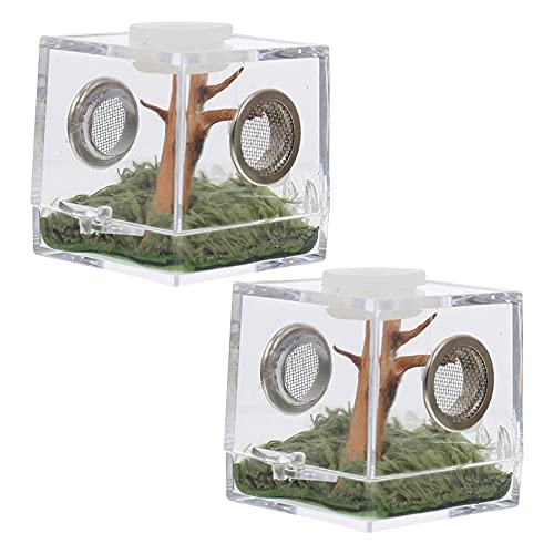 Alipis Transparenter Behälter Springspinne Gehäuse Spinne Habitat Box Reptilien Terrarium Aquarium Zuchttank, Acryl Jumping Spider Micro Box Frosch Cricket Zuchtbox Reptilien Amphibien von Alipis