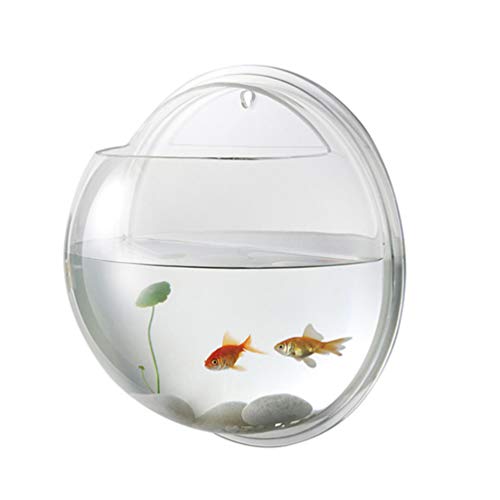 Alipis Acryl-Aquarium Klare Vase Fischaquarium An Der Wand Montiertes Fischglas Ausbreitungswand Zubehör Für Betta-aquarien Fish Bowls Beta-Aquarium Innenwand Aquarium Hydroponik Pflanze von Alipis