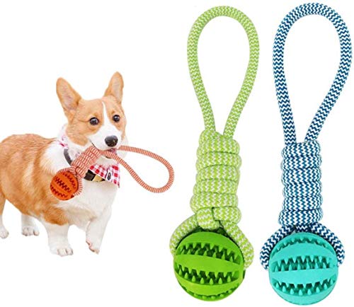 Alivisa Chew Spielzeug, Hundegummikugel Molar Biss Spielzeug Seil Kugel Spielzeug für Hunde, Hundefutter Treat Ball auf Seil für Hunde Zahnreinigung Kauspielzeugen,Blau von Alivisa