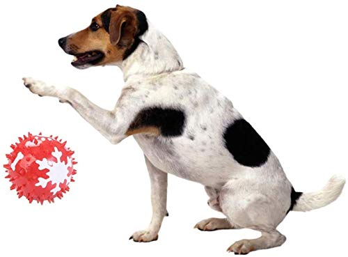 Alivisa Dog Chew-Ball mit Squeaky strapazierfähige Zahnreinigung Spielzeug für Hunde Welpen Kugel für kleine Welpen mittelgroßer Hunde,rot von Alivisa