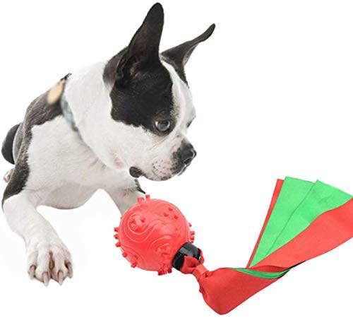 Alivisa Hundespielzeug quietschende Bälle, Indestructible Weiche Latex Chew Zahnreinigung Spielzeug Hund mit Band Griff für Small Medium große Hunde,rot von Alivisa