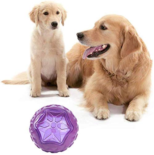 Alivisa quietschend Spielzeug Durable Chew Hundefestlichkeit Kugel LED Ball Spielzeug für Hunde Light Up Dog Balls Hundespielzeug Interactive Ball für kleine bis große Hunde,lila von Alivisa