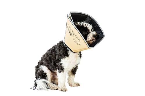 All Four Paws „The Comfy Cone“ Halskrause für Haustiere, Large von All Four Paws