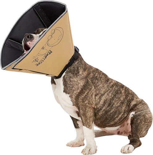 All Four Paws „The Comfy Cone“ Halskrause für Haustiere von All Four Paws