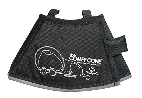 All Four Paws „The Comfy Cone“ Halskrause für Haustiere, XS (1er Pack) von All Four Paws