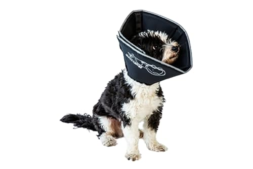 All Four Paws „The Comfy Cone“ Halskrause für Haustiere, Large von All Four Paws