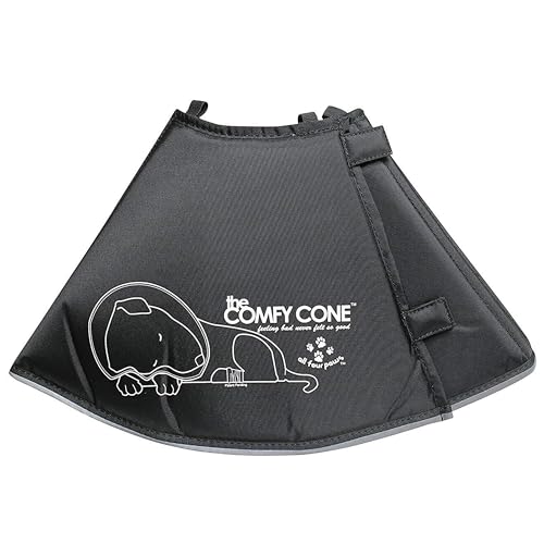 All Four Paws „The Comfy Cone“ Halskrause für Haustiere, Small von All Four Paws