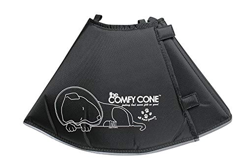 All Four Paws „The Comfy Cone“ Halskrause für Haustiere, Small von All Four Paws