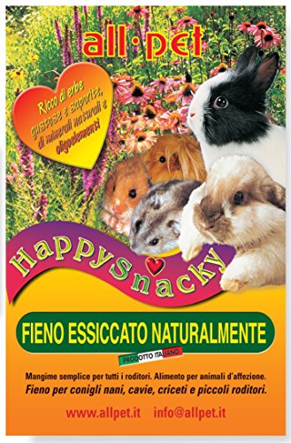 All-Pet Happy snacky fieno essicato naturalmente per Roditori Kg. 1 von All Pet