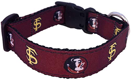 Collegiate Hundehalsband, Florida State Hundehalsband, Größe XS von All Star Dogs