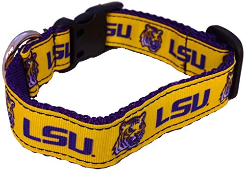 Collegiate Hundehalsband, Größe L, LSU Tiger von All Star Dogs