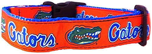 Collegiate Hundehalsband, Größe M, Florida Gators von All Star Dogs