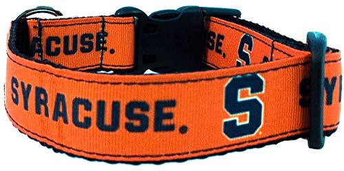 Collegiate Hundehalsband, Größe XS, Syracuse Orange von All Star Dogs