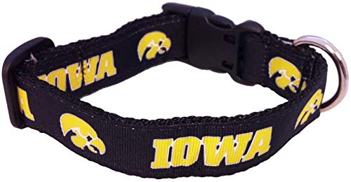 Collegiate Hundehalsband, Iowa Hawkeyes, Größe M von All Star Dogs