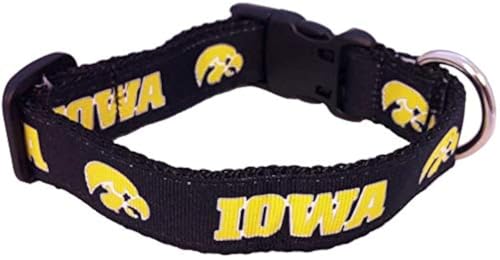 Collegiate Hundehalsband, Iowa Hawkeyes, Größe S von All Star Dogs