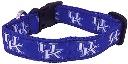 Collegiate Hundehalsband, Kentucky Wildcats, Größe M von All Star Dogs