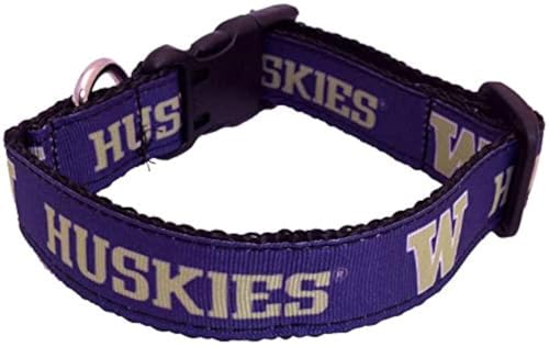 Collegiate Hundehalsband, Washington Huskies von All Star Dogs