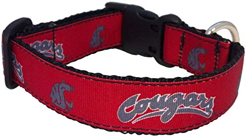 Collegiate Hundehalsband, Washington State Cougars, Größe M von All Star Dogs