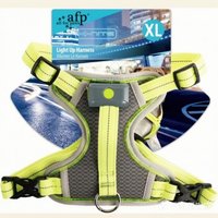 All for paws Hundegeschirr K-Nite Leuchtendes Reflektierendes XL All for paws Hundegeschirr K-Nite Leuchtendes Reflektierendes XL von All for paws