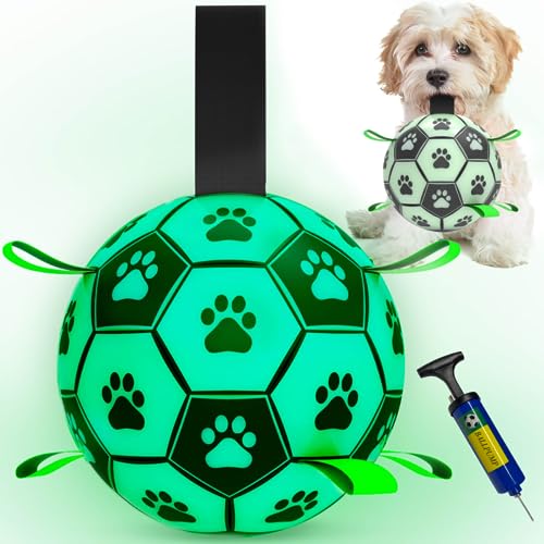 All things intelligent Leuchtendes Haustierspielzeug für Fußballspaß, leuchtet im Dunkeln, Apportierspielzeug für Hunde und Katzen, für den Innen- und Außenbereich (mittel) von All things intelligent
