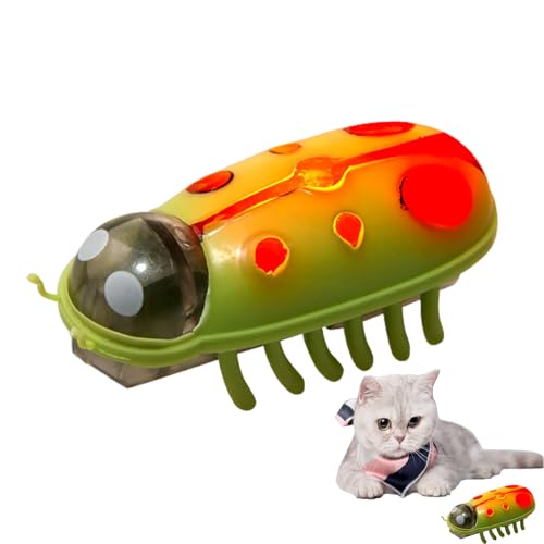 Allayu Interactive Cat Toy Substitutes for Endless Entertainment Mini Beetles Electric Insect Cat (Grün und Schwarz) von Allayu