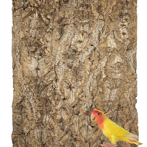 Allazone Papagei Kauspielzeug, Natürliche Kork Sitzbretter, Vogelkäfig Rinden Dekor Zubehör, Vogel Kork Barsch Stand für Sittich Nymphensittich Sittich Lovebird (1PCS, 30 x 40cm) von Allazone