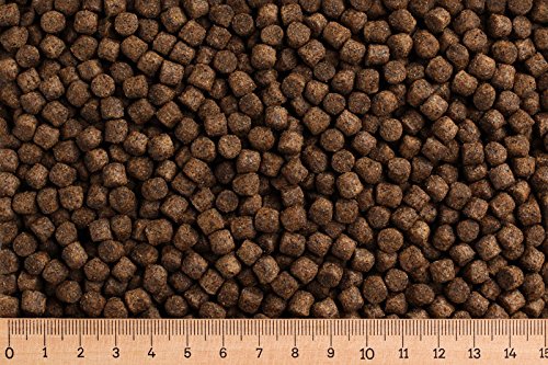 (Grundpreis 2,30 Euro/kg) - 15 kg Premium Karpfenfutter Primo Float - 6,0 mm - Karpfen schwimmend - Karpfenpellets von Aller Aqua