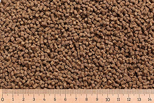 (Grundpreis 2,55 Euro/kg) - 10 kg Karpfenfutter AC 3,0 mm 30/7 sinkend - Karpfen - Karpfenpellets von Aller Aqua