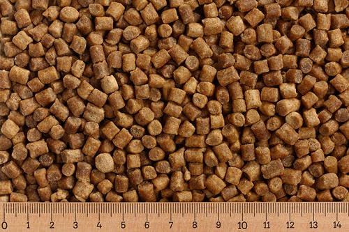 AlltechCoppens (Grundpreis 2,25 Euro/kg) - 25 kg Premium Koifutter Coarse - Herbst / Winter - sinkend - Koipellets (6,0 mm) von AlltechCoppens