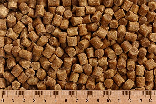 (Grundpreis 3,90 Euro/kg) - 5 kg Premium Koifutter Coarse - Herbst/Winter - sinkend (8,0 mm) von AlltechCoppens