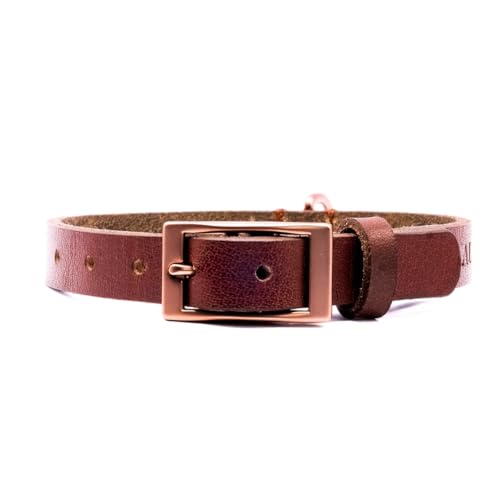 ALMADOG® Hundehalsband Albbüffel - Glattes Büffelleder braun (L) von Almadog