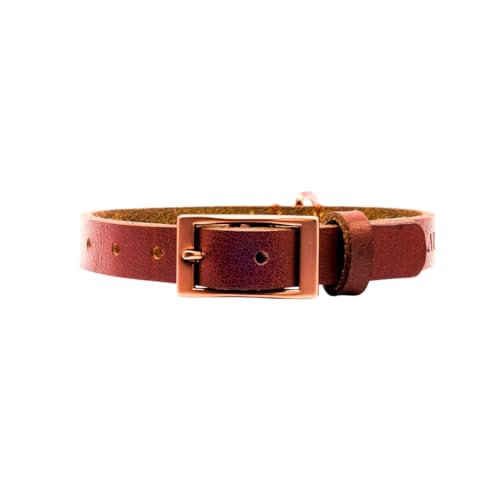 ALMADOG® Hundehalsband Albbüffel - Nachhaltiges Büffelleder aus Deutschland - Hochwertig Handgefertigt - Braun M (40-48cm Halsumfang, 2,5cm breit) von ALMADOG